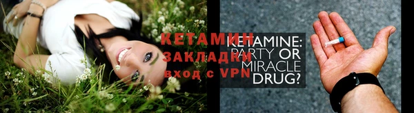 гидра Гусиноозёрск