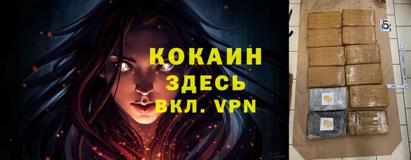 сатива Гусь-Хрустальный