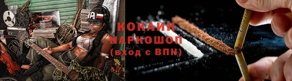 гидра Гусиноозёрск
