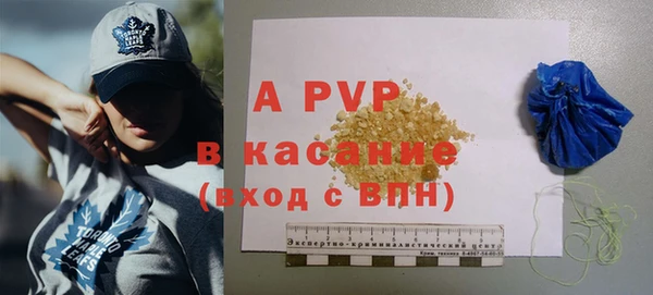 гидра Гусиноозёрск