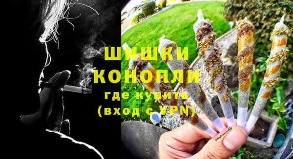 гидра Гусиноозёрск