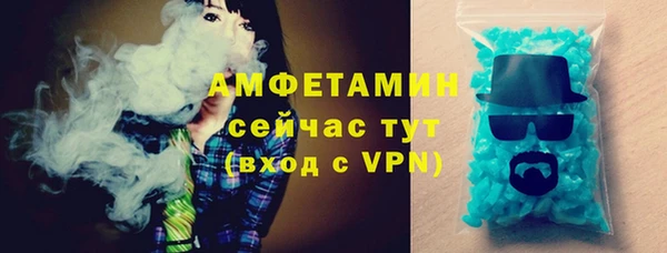 сатива Гусь-Хрустальный