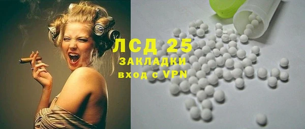 сатива Гусь-Хрустальный