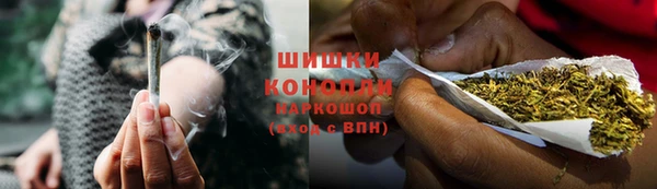 сатива Гусь-Хрустальный