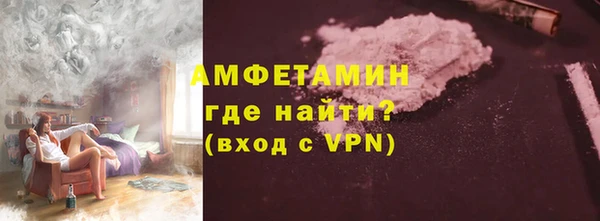 сатива Гусь-Хрустальный