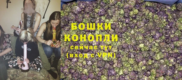 гидра Гусиноозёрск