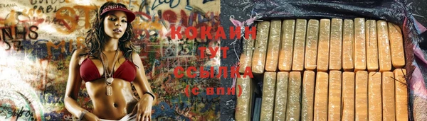 гидра Гусиноозёрск