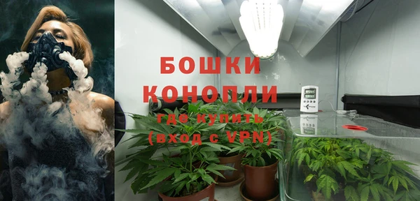гидра Гусиноозёрск