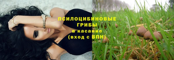 гидра Гусиноозёрск
