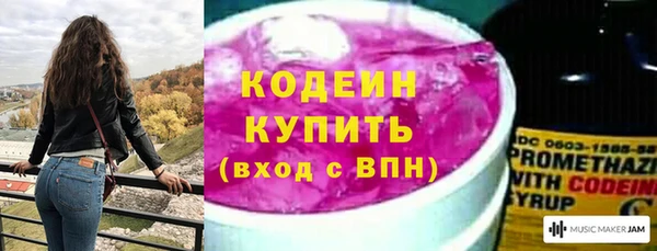 сатива Гусь-Хрустальный
