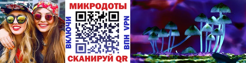 Галлюциногенные грибы прущие грибы  Пятигорск 